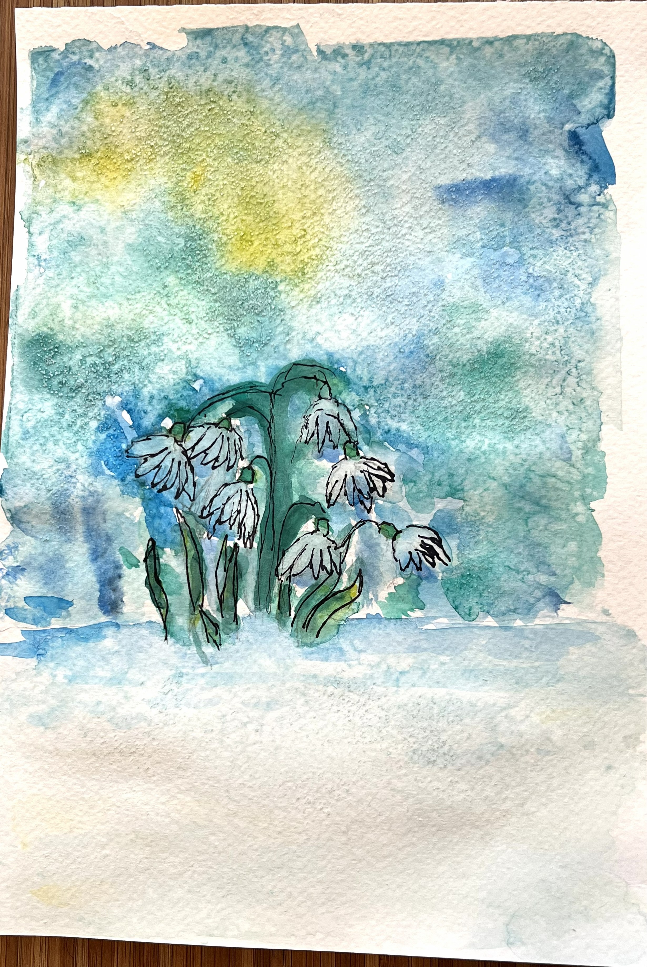 Snowdrops in the wintertime